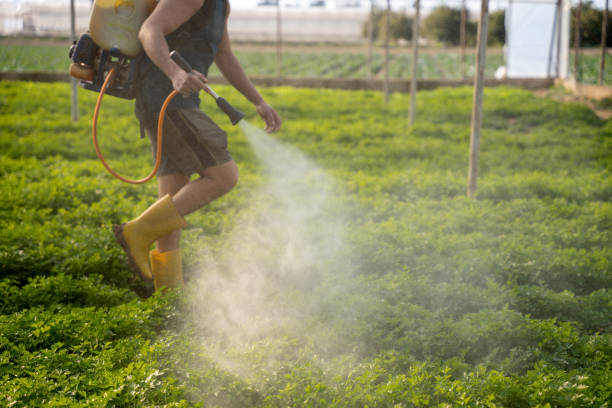 Best Pest Control Near Me  in Herriman, UT
