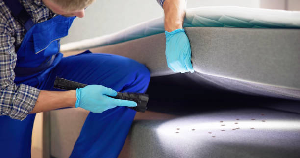 Best Residential Pest Control  in Herriman, UT