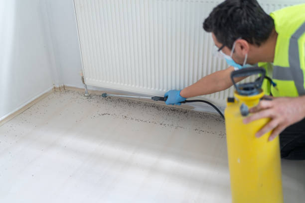 Reliable Herriman, UT Pest Control Solutions